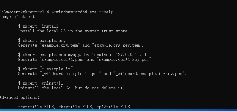 image-20240815091938791