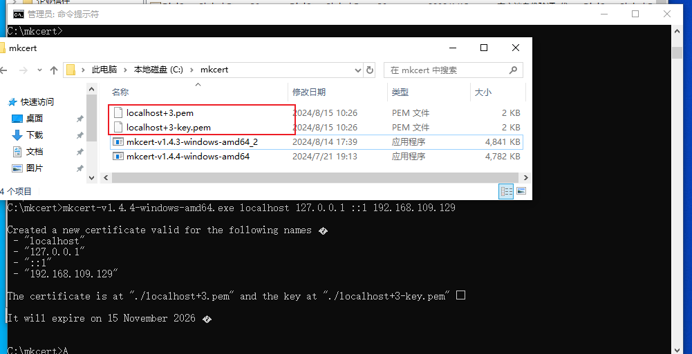 image-20240815102807646
