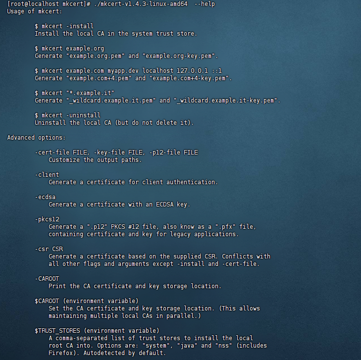 image-20240815120923283