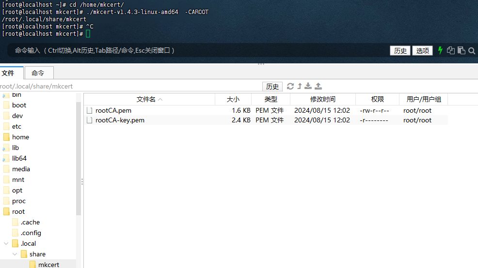 image-20240815162837843