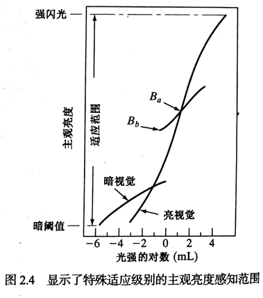 主观亮度感知范围