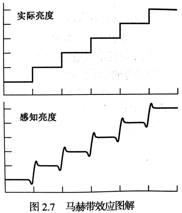 马赫带效应