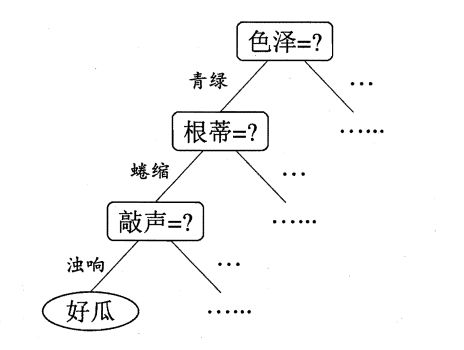 西瓜问题的一颗决策树