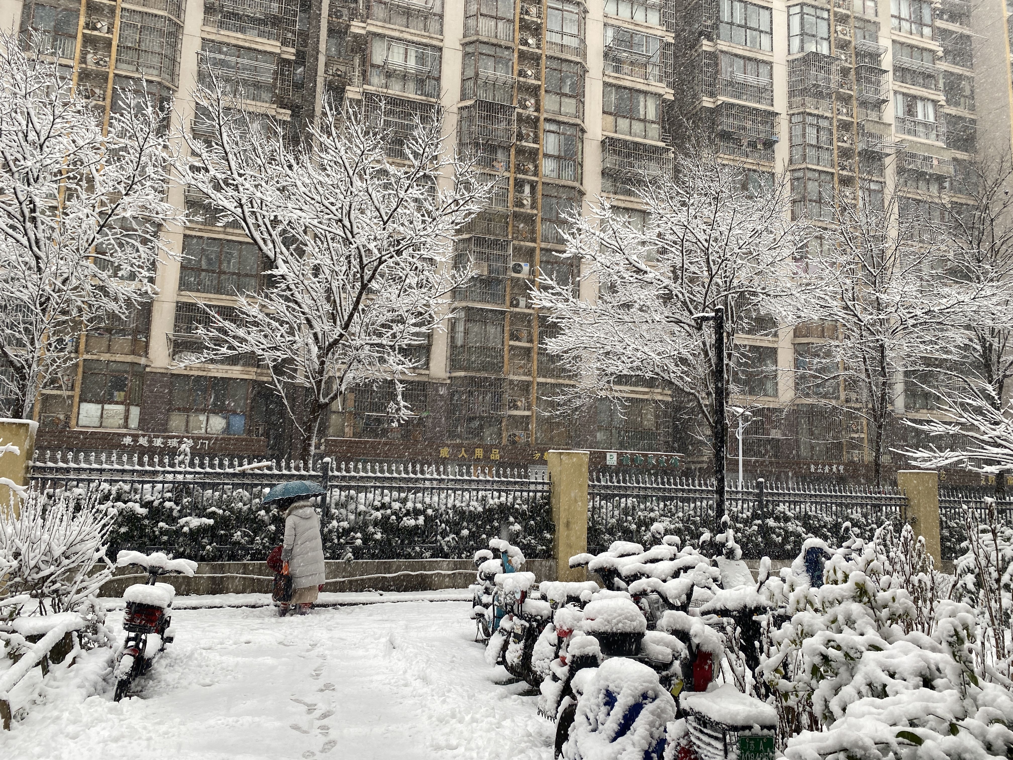 2022年2月7号 冬·雪·南京