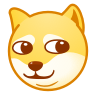:doge