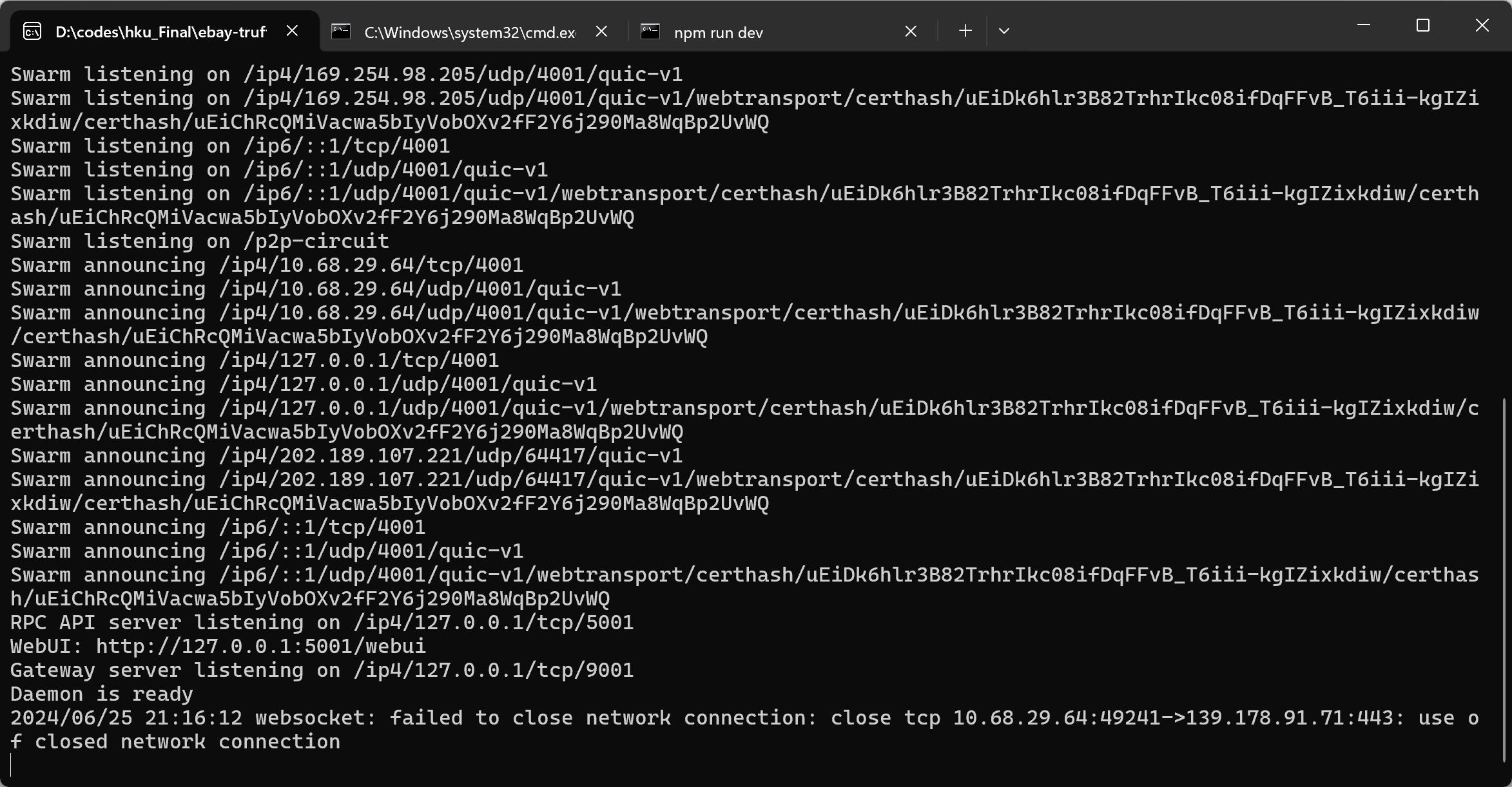 image-20240625212353666